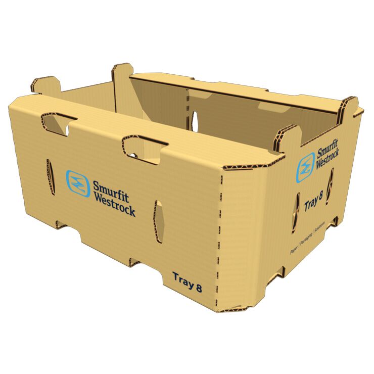 Tray 8 Container