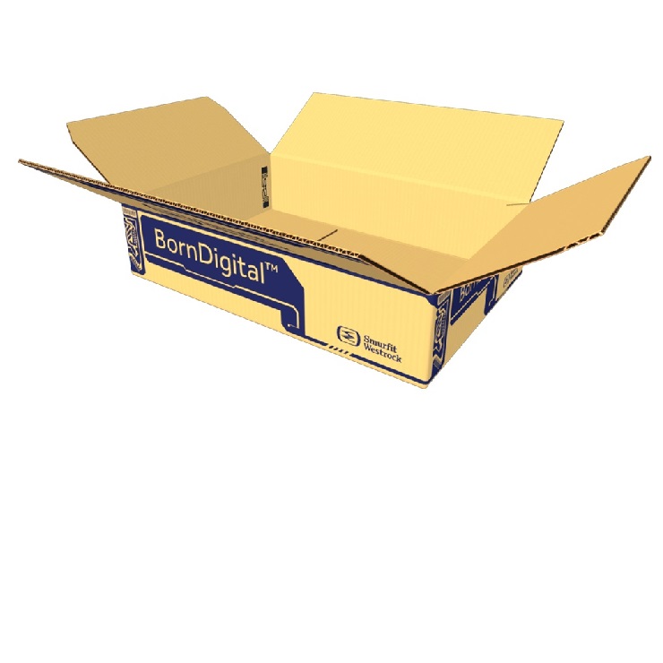RFID Labeling Machine - BornDigital™