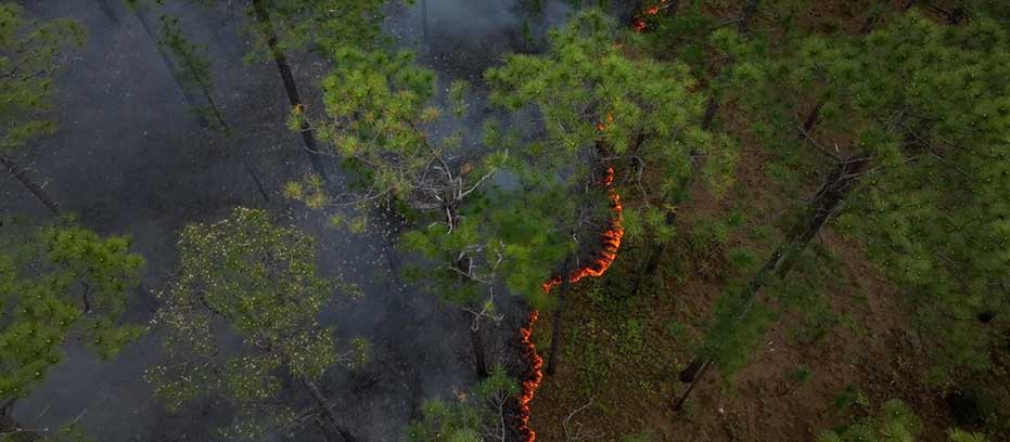 Controlled-Burn