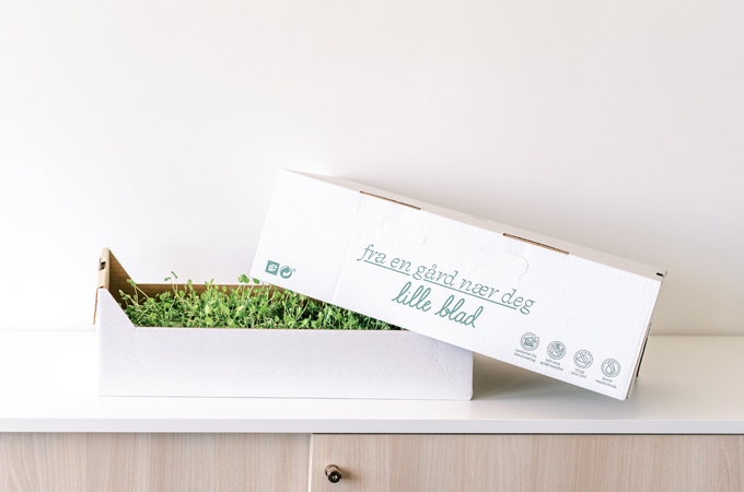 corrugated box for herbs