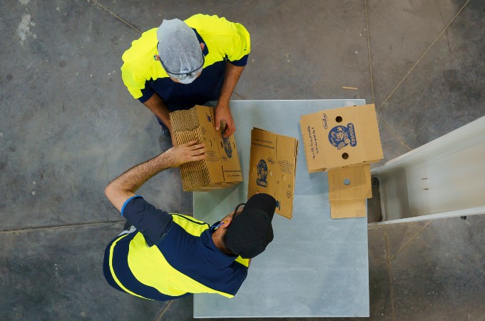 Printing die cutting