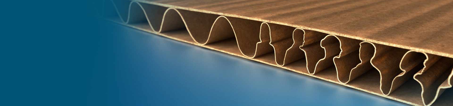 Corrugated People