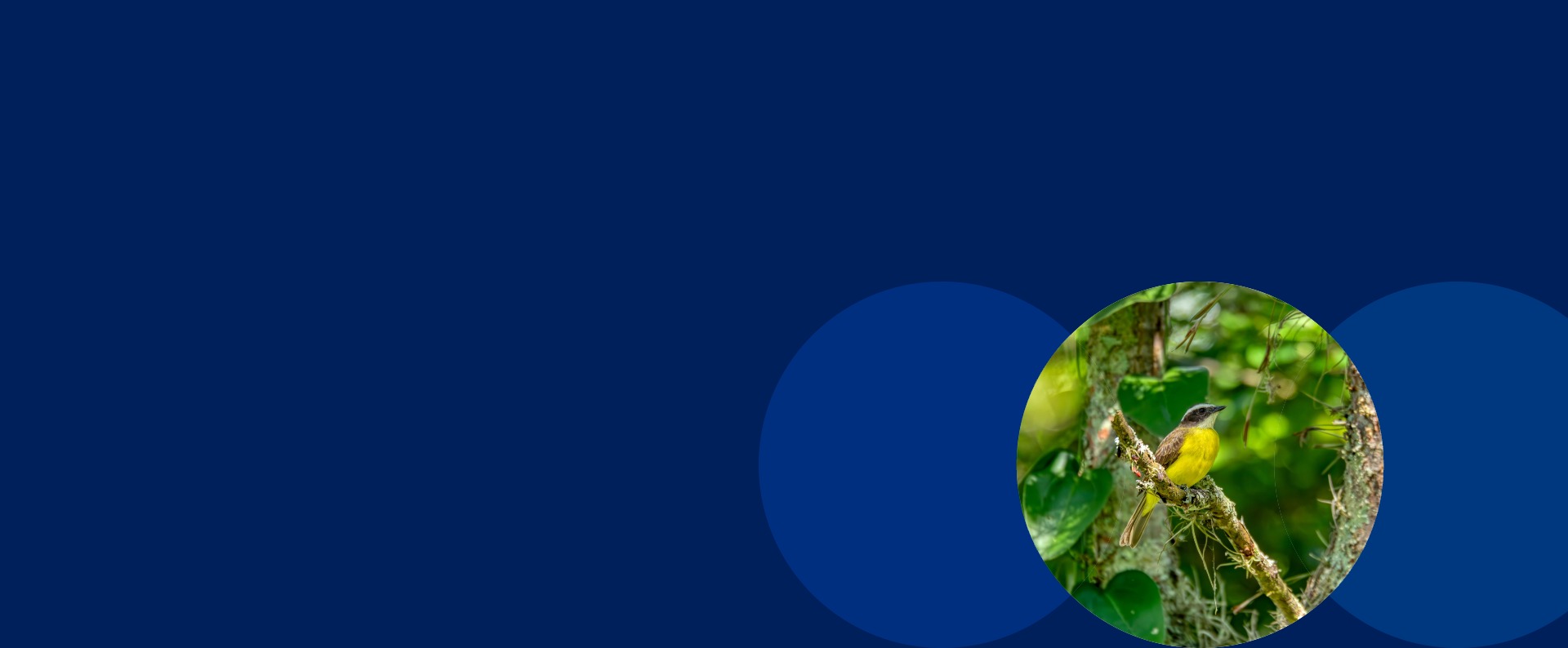 WWF Smurfit Westrock Partnership