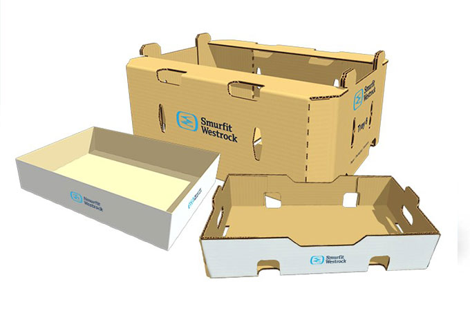 Corrugated Trays