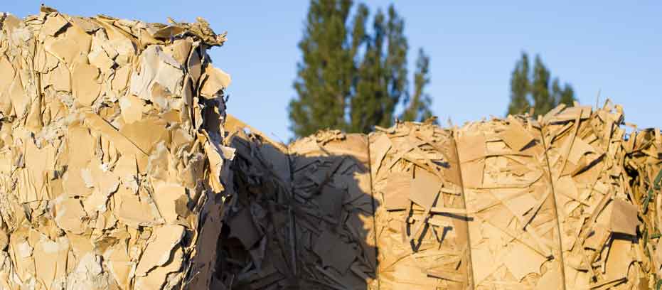 Wastepaper