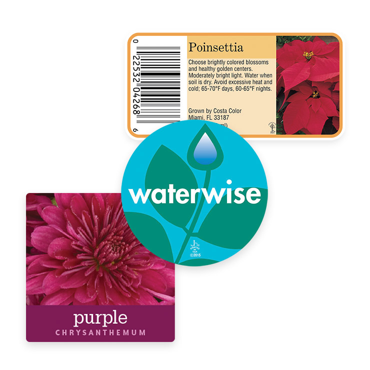 Floral Cards