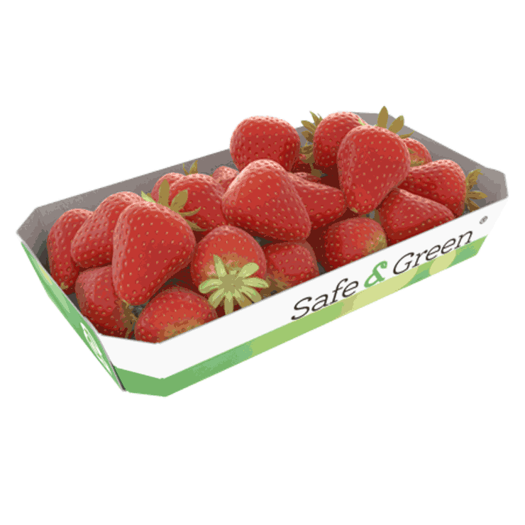 Safe & Green® Packaging For Produce