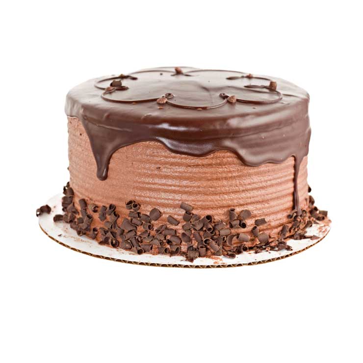 Cake Boards | Cake Circles