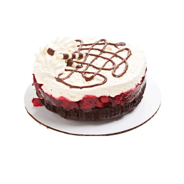 Cake Boards | Cake Circles