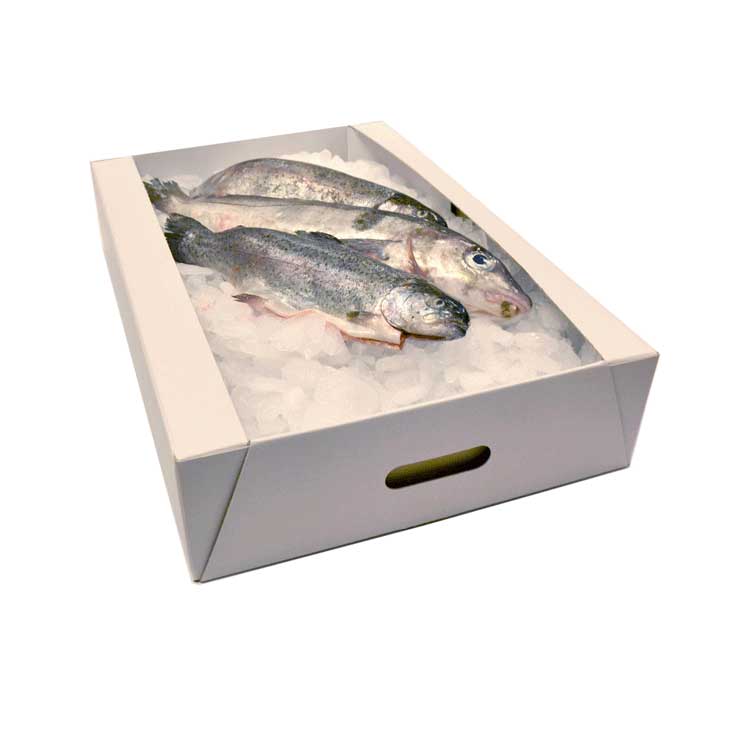 Fish Boxes