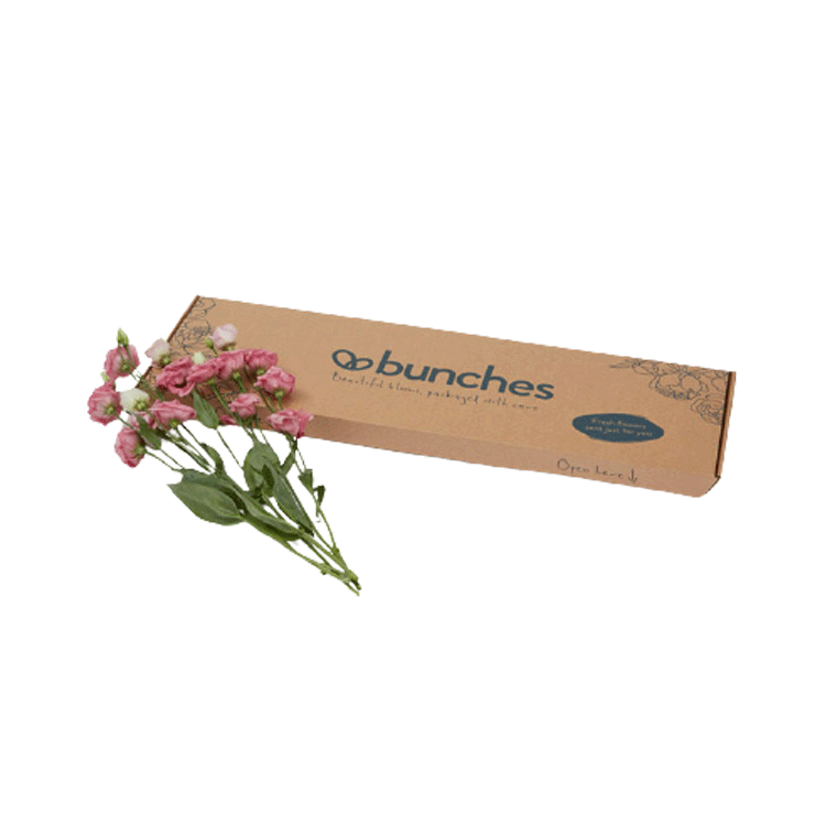 Flower Packaging - Letterboxable