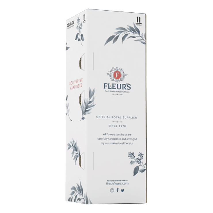Potted Plant Packaging - Telescopic Pack