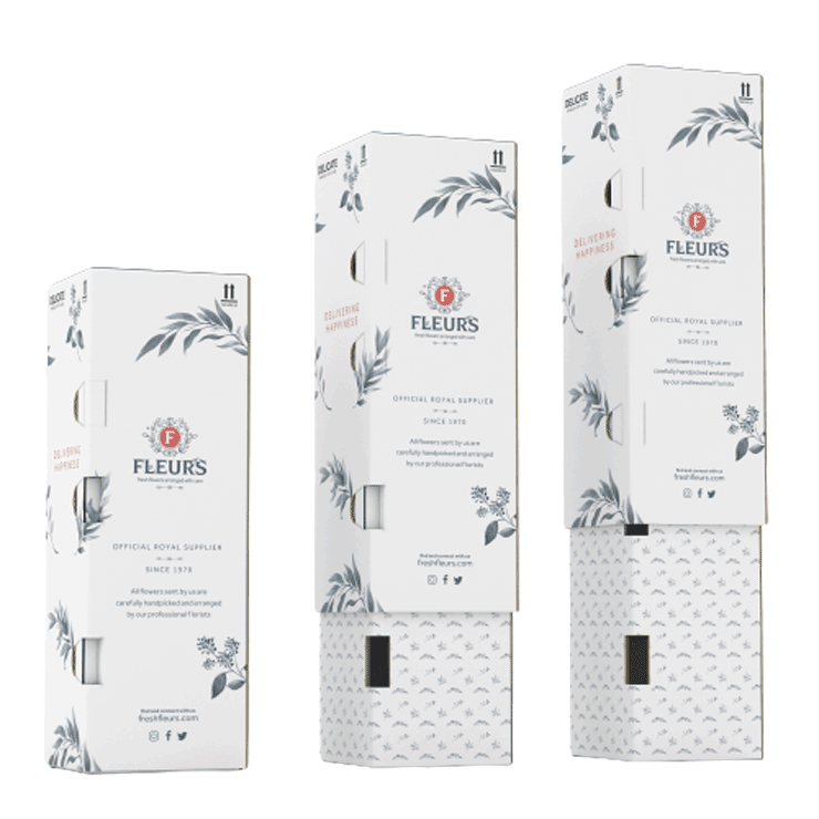 Potted Plant Packaging - Telescopic Pack