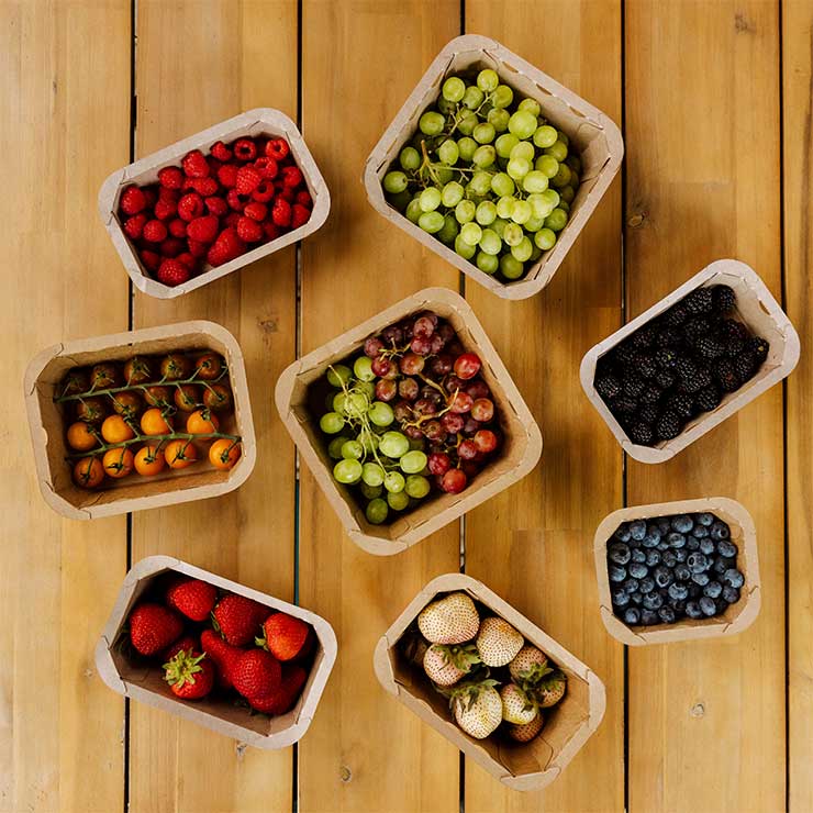 Punnet | Fruit Punnets