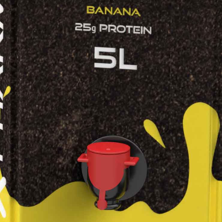 Bag-in-Box (BIB) Packaging