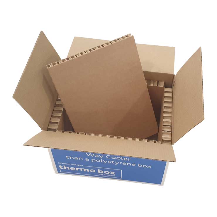 Insulated Shipping Boxes