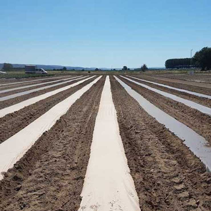 Agricultural Papers