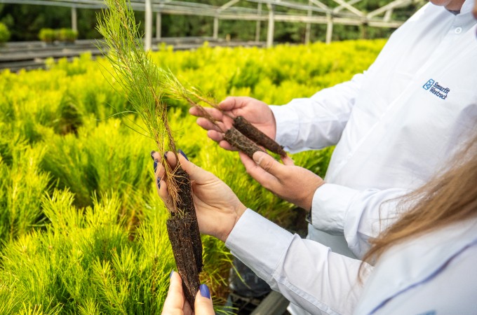 fiber sourcing