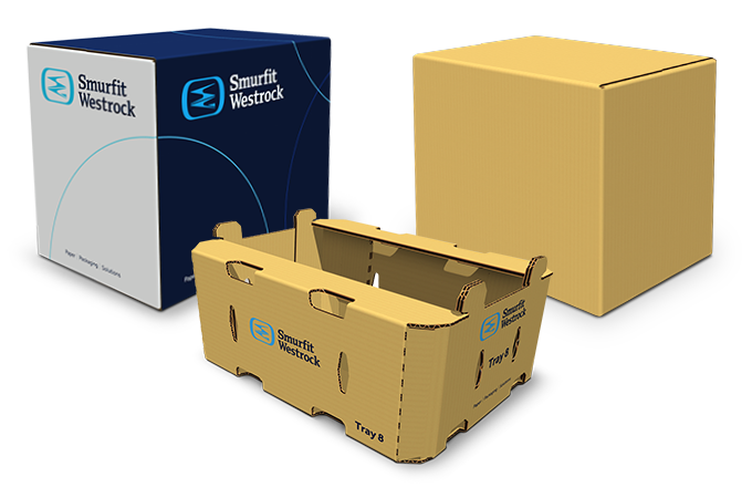 custom corrugated boxes and trays