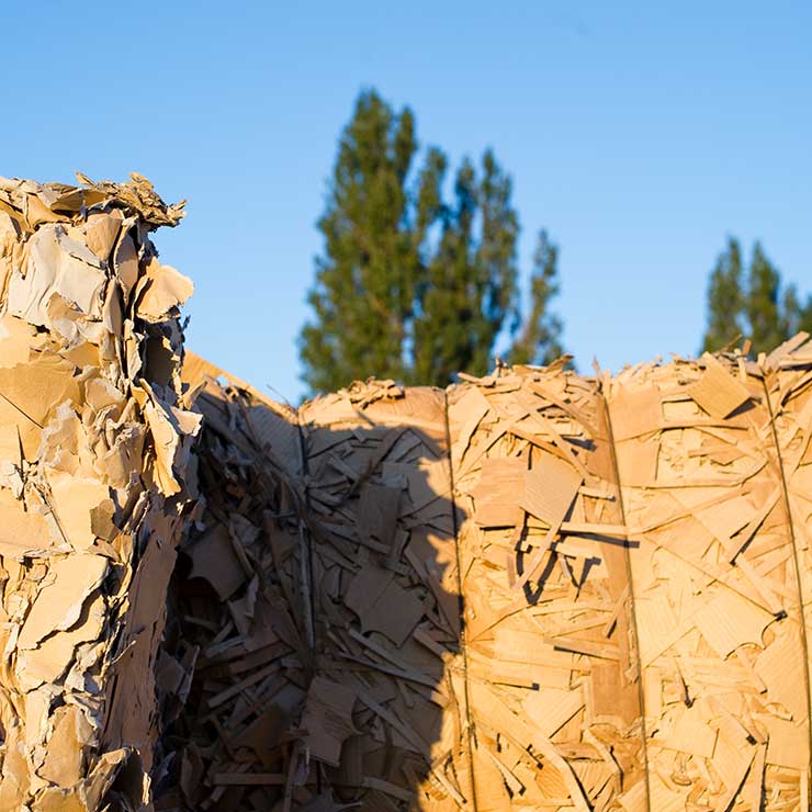 Cardboard Recycling Bales