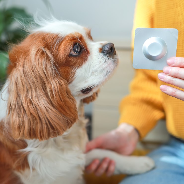 pet health packaging
