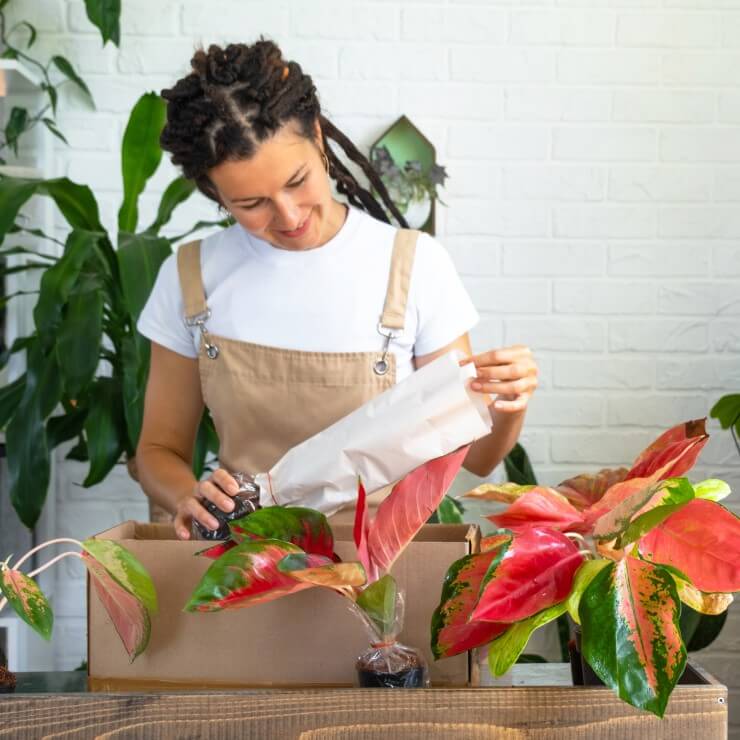 flower packaging