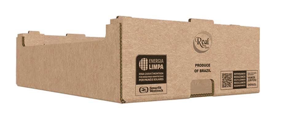 Angel Agricola Fresh Produce Tray Brown