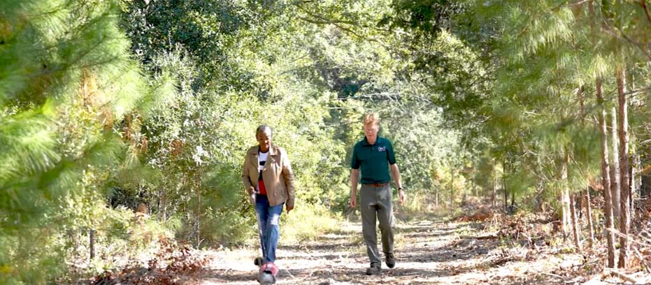 two people walking through woodland
