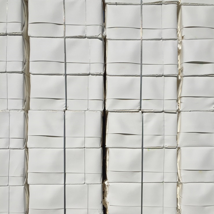 Wood Pulp | Market Pulp | Solid Bleached Softwood Kraft 