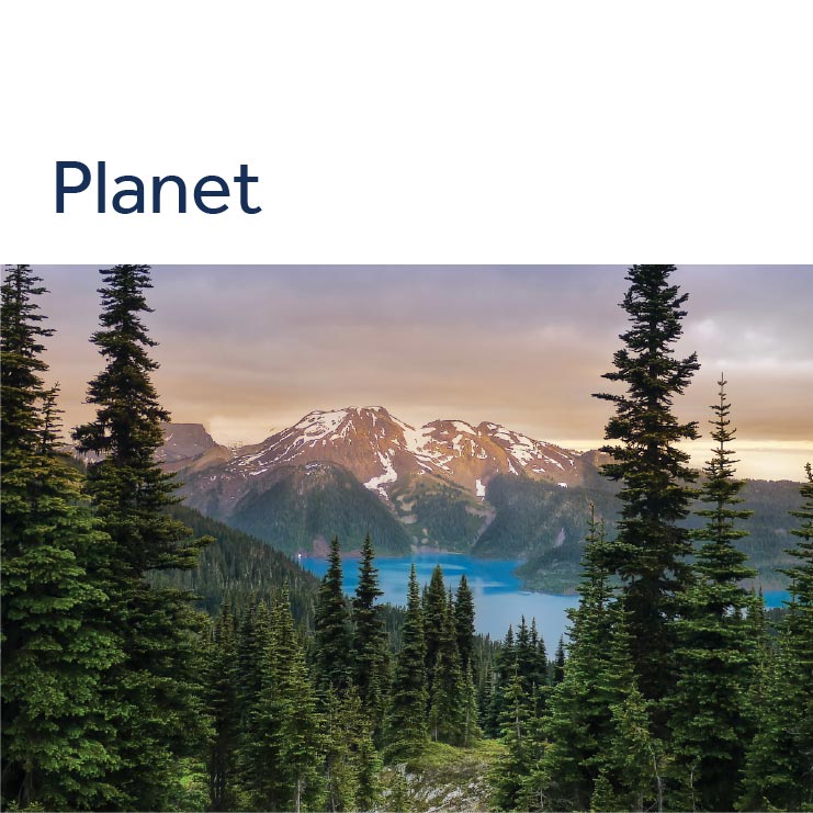 Sustainability report 2024 planet