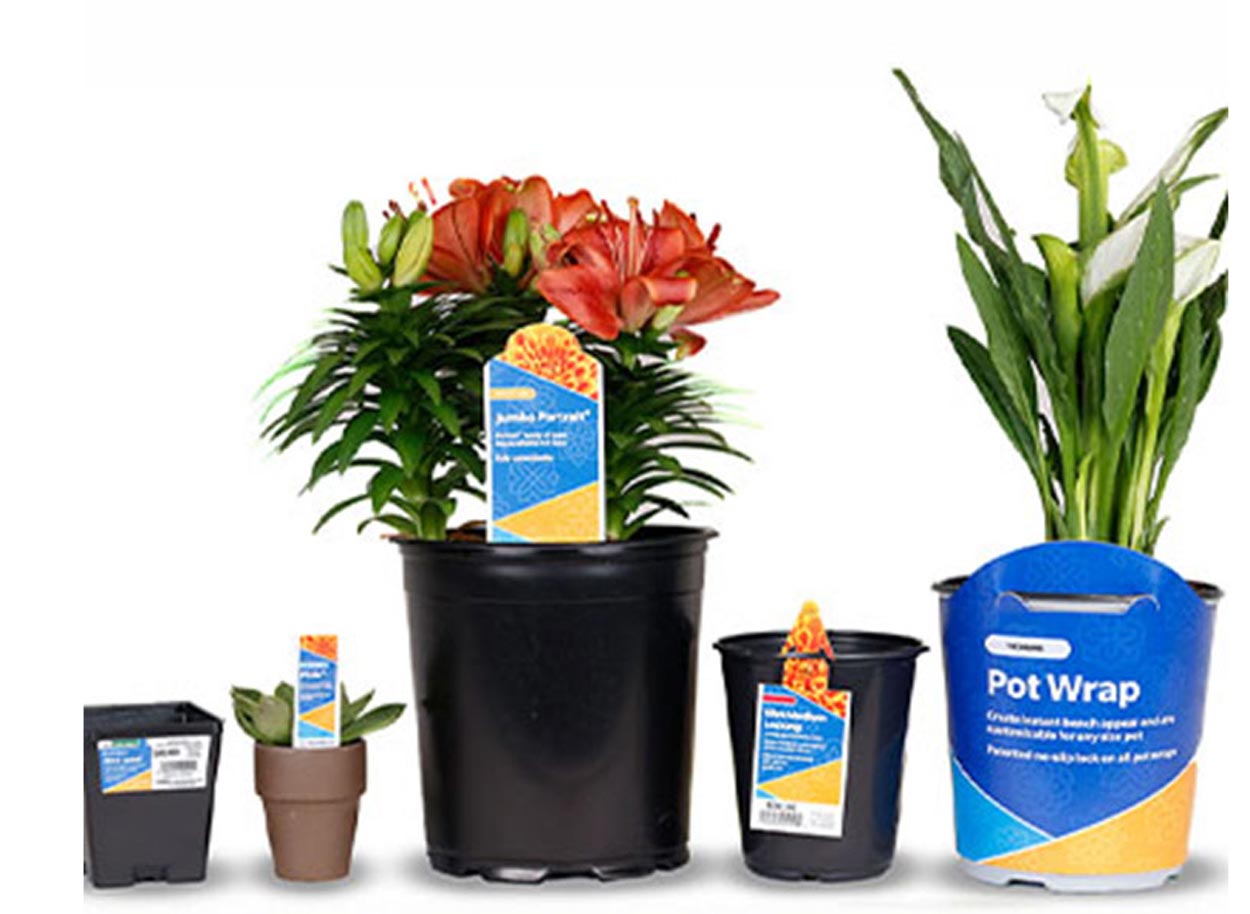 plant tags
