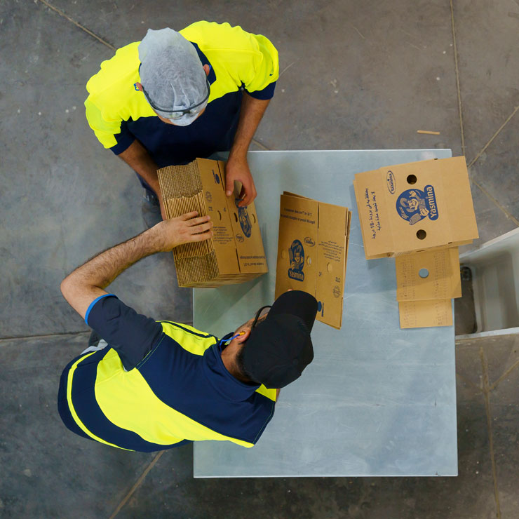 corrugated boxes