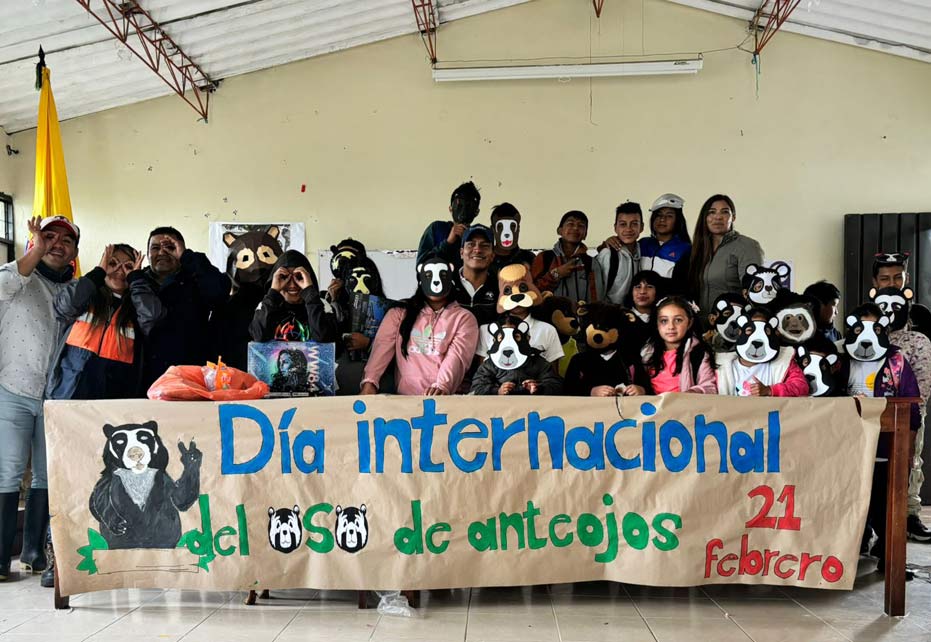 Andean Bear Colombia