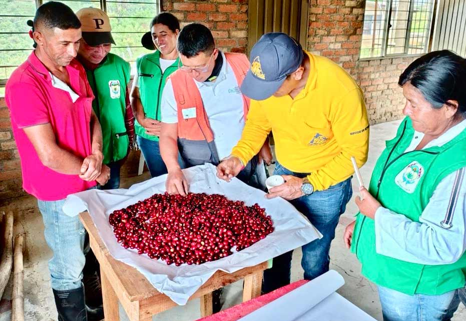 education programme Colombia