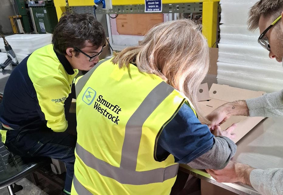 ready to work programme cork