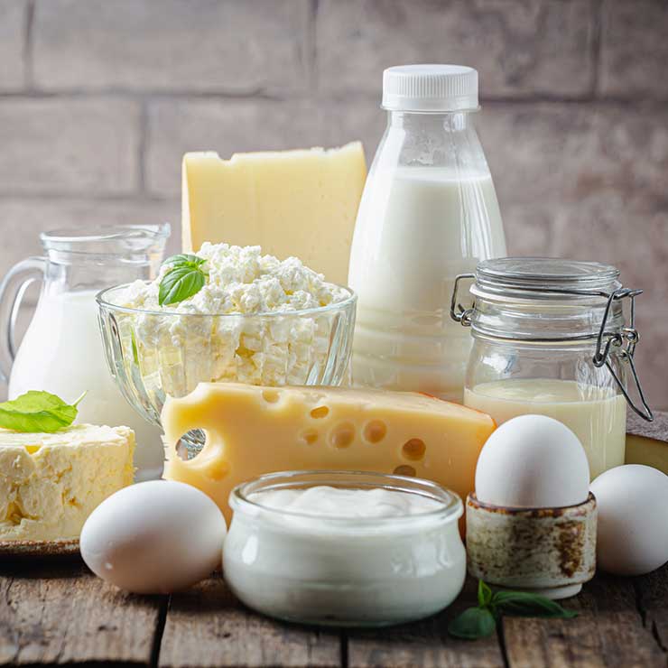 Dairy