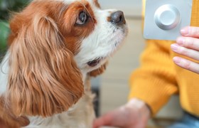 pet health packaging