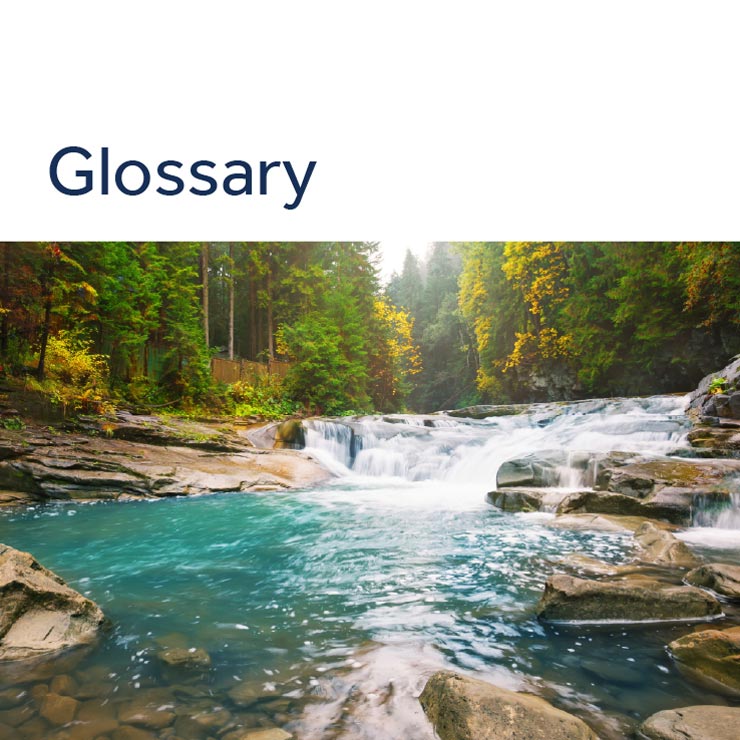 glossary thumbnail