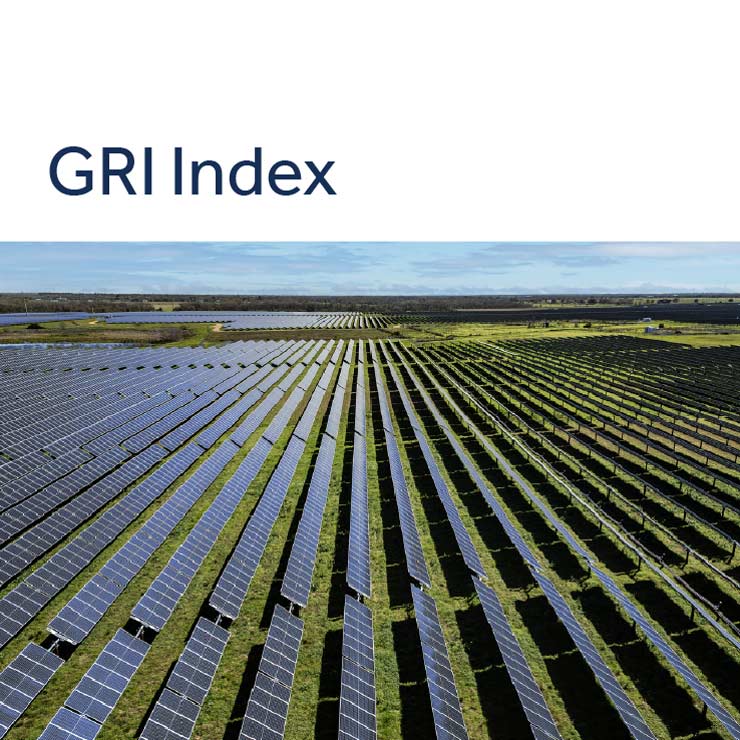 GRI Index thumbnail