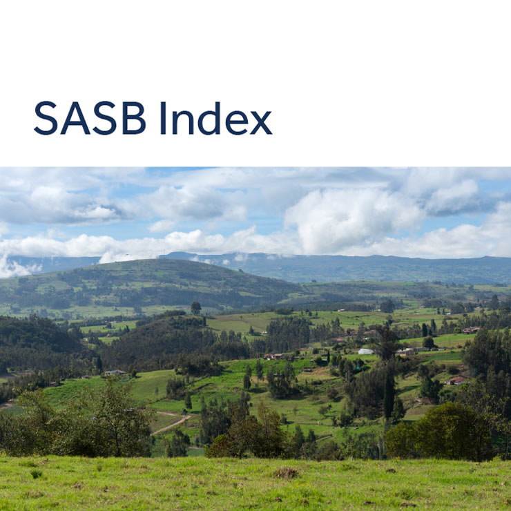 SASB thumbnail