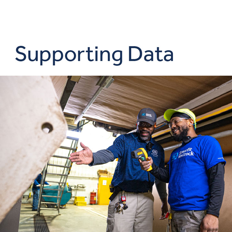 Supporting data thumbnail