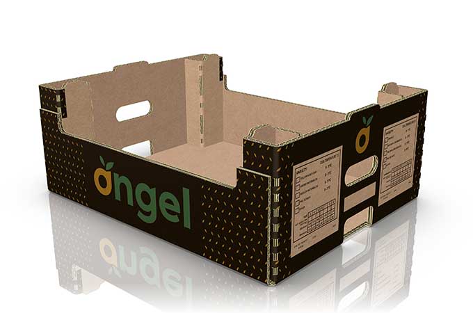 Angel Agricola