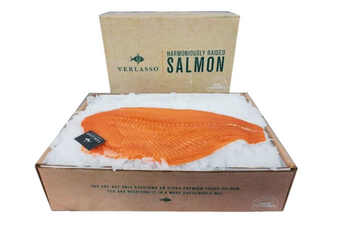 Helping AquaChile transform fresh salmon distribution with sustainable packaging innovation