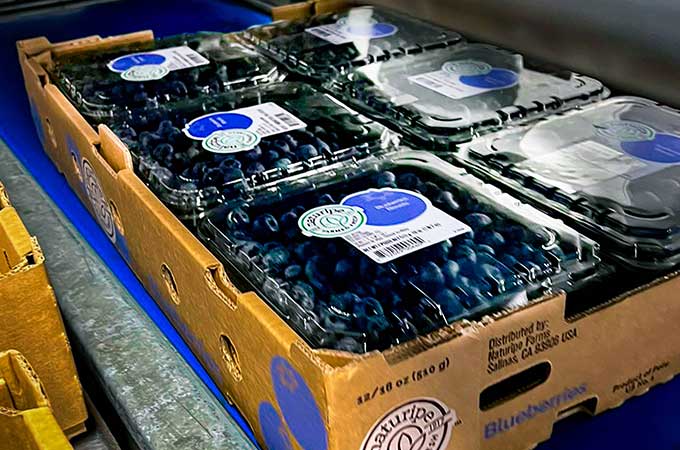 Powering up efficiency while lowering energy costs and environmental impact, Verfrut works with Smurfit Westrock on a redesigned blueberry tray. 
