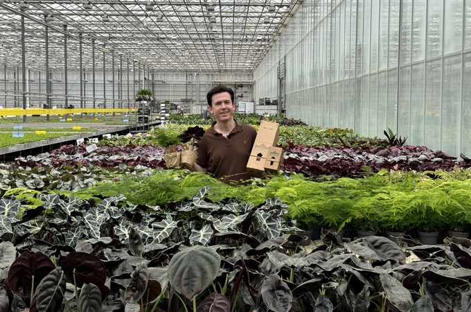 Plant packaging to House of Botanique