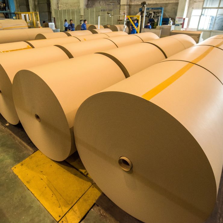 Kraft paper rolls