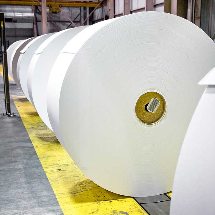White Top Linerboard (North America)